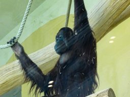 Tiergarten Schönbrunn am 12.03.2025